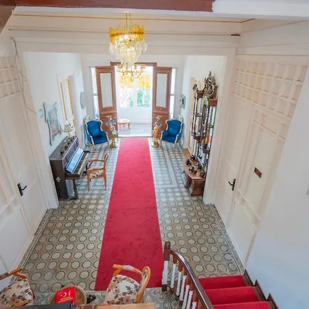 Laden Palas Prince'S Island Historical Mansion * אדאלר