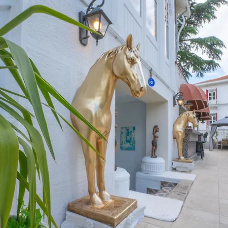 Laden Palas Prince'S Island Historical Mansion Отель *