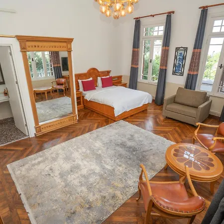 Laden Palas Prince'S Island Historical Mansion *